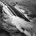 Andrea Doria Photo 5