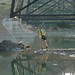 Gary Beaver Photo 8