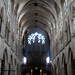 Claude Nave Photo 7