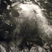 Sally Mann Photo 14