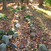 Autumn Stone Photo 27
