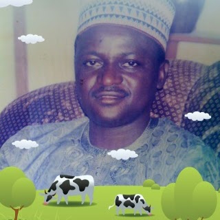 Muhammad Lawal Photo 15