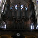 Claude Nave Photo 12