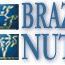 Brazil Nuts Photo 4