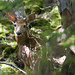 Fawn Baxter Photo 9