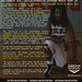 Kendrick Johnson Photo 17