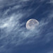 Allen Moon Photo 12