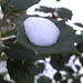 Holly Blizzard Photo 14