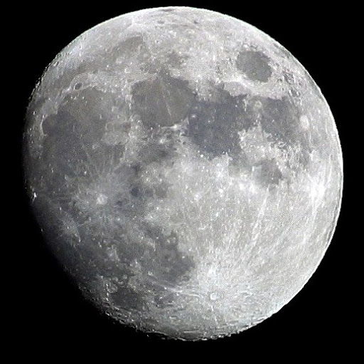 Allen Moon Photo 5